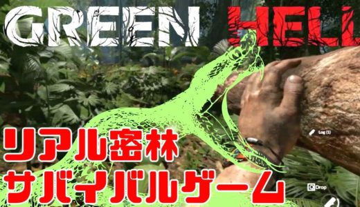 恐怖のアマゾンで命がけのサバイバルをするゲーム～火起こし編～【GREEN HELL】