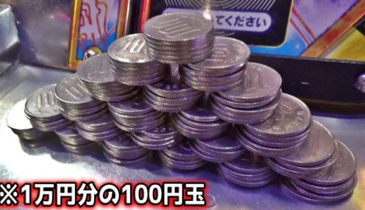 メダルゲームに1万円を課金したらこんな感じになったんだが・・・