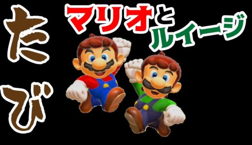 【ゲーム遊び】マリオメーカー2 マリオとルイージのたび遊び マリメ【アナケナ&カルちゃん】Super Mario maker 2