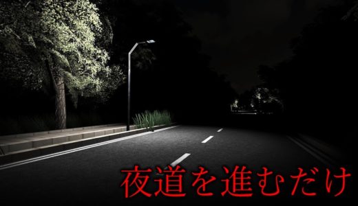 深夜に『多くの人が姿を消した道』を進むホラーゲーム。ラストが心臓に悪すぎる（絶叫あり）