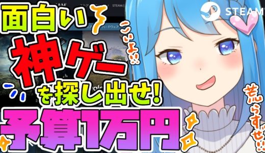 【予算１万円！】どうやっても面白いゲームを引き寄せてしまう【宗谷いちか / あにまーれ】