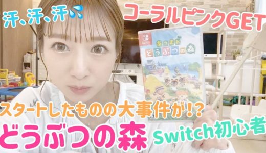 【どうぶつの森①】Switch初心者辻ちゃんが開封～ゲーム初期設定までやってみた