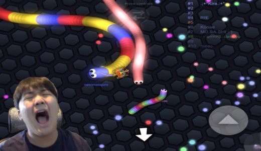 誰もが知ってるあのゲームでがーどまんブチギレ【がーどまんのslitherio】#01