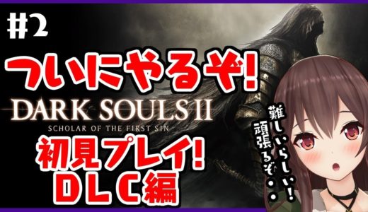 【ダークソウル2/DARK SOULSⅡ】お待たせしました！ＤＬＣ難しいけど頑張って進めていくぞ・・・【ゲーム実況】八重沢なとり VTuber