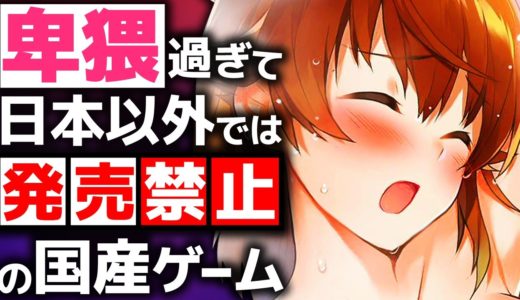 過激すぎて日本以外では発売禁止のゲームがこれです（国産ゲーム）