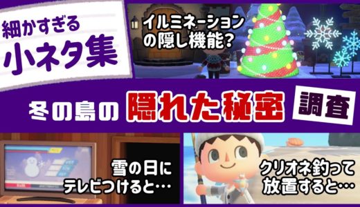 【あつ森】遊び心がヤバい！ゲームに隠れた細かすぎる小ネタ集・冬アプデ＆冬の島の隠れた秘密調査！【あつまれ どうぶつの森】〈レウン GAME TV〉