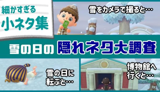 【あつ森】作り込みがヤバい！ゲームに隠れた細かすぎる小ネタ集・冬アプデ＆雪の日の隠れネタ大調査！【あつまれ どうぶつの森】〈レウン GAME TV〉