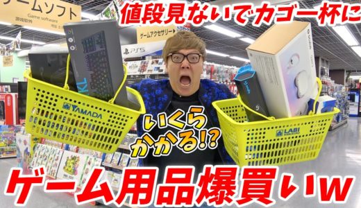 値段見ないでゲーム用品カゴいっぱいに買ったらいくらかかる!?