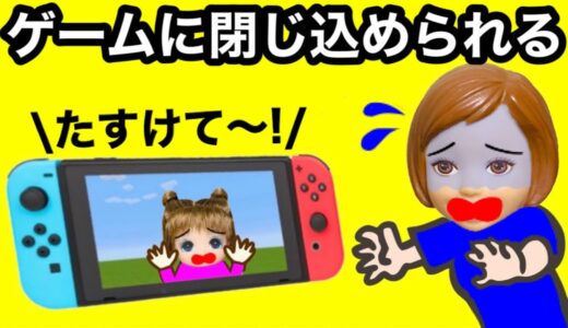 【ゲームの中に吸い込まれた！】マイクラの世界へ行ったケーちゃん達はシオンリオンを助けるために危険なネザーへと入り込む...敵キャラを倒したりサバイバルも挑戦★