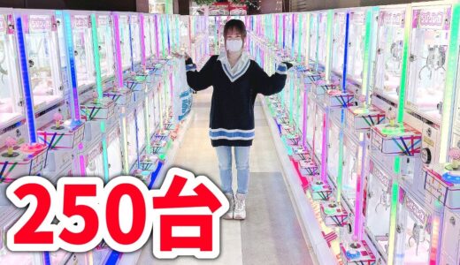 250台のミニチュアクレーンゲーム！5000円で何個景品取れるかな？