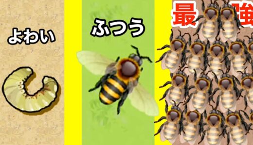 幼虫から始まるハチをめちゃくちゃ増やすゲーム【 Pocket Bees 】