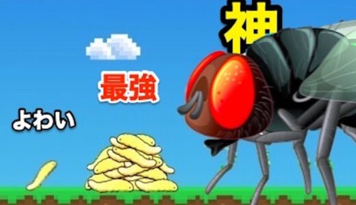 ウジ虫がネズミを食べるとこを観察するゲームでいっぱい増やしてみた【 Idle Maggots 】