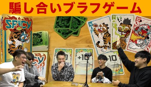 【ボードゲーム】究極の騙し合いブラフゲーム【スパイシー】