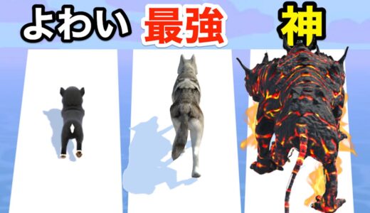 赤ちゃん犬を最大まで進化させたら『ケルベロス』に進化した...【 Doggy Run 】