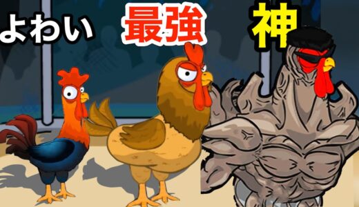 チキンを育ててチキン世界チャンピオンを目指すゲーム【 Manok Na Pula 】