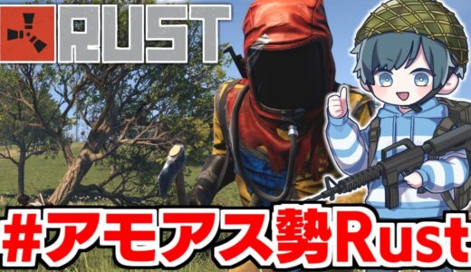 お昼だからってほのぼの出来るゲームだと思うな【#アモアス勢Rust #RUST #ラスト】影。/かげまる視点