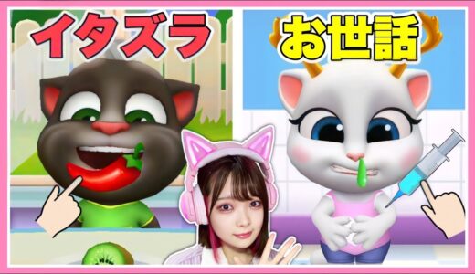 おしゃべりするネコと遊べるゲームがかわいくて面白い🐱💬🌈【マイトーキングトムフレンズ / My Talking Tom Friends】【たまちゃん】