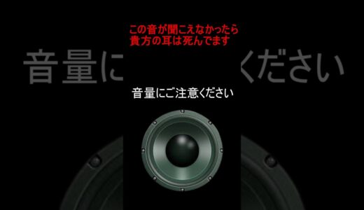 この音が聞こえなかったら貴方はゲーム依存症です#short