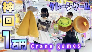 【神回】クレーンゲーム1万円！ほのぼの1人で大量ゲット【のえのん】