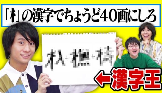 【漢字王無双】ピッタリ画数ゲームで漢字知識炸裂！【お慫めです】