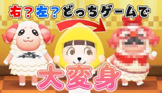 【あつ森アニメ】右左どっちゲームでちゃちゃまるが大変身!!!【ちにゃちゃちゃ】