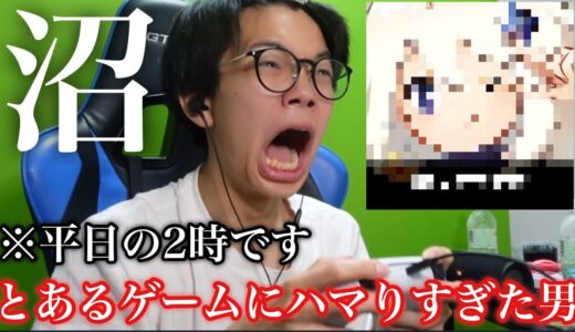 【中毒】とあるゲームにハマりすぎて何も手につきません