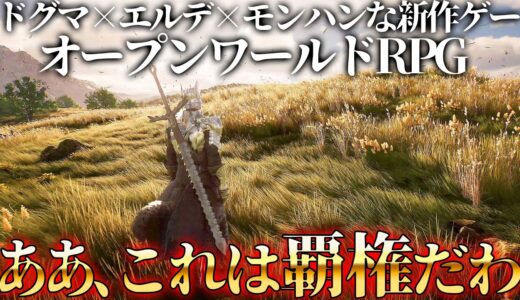 「ドラゴンズドグマ+エルデンリング」の新作ゲームがクソ面白そうな件。やたらと性癖に刺さるキャラも居るし流石としか言いようがない。でもMMORPGって今需要あるのか？【Chrono Odyssey】