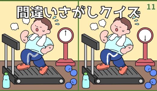 【間違い探しクイズ】大人向け脳トレ動画！脳活おすすめ無料ゲーム【集中力UP】#11