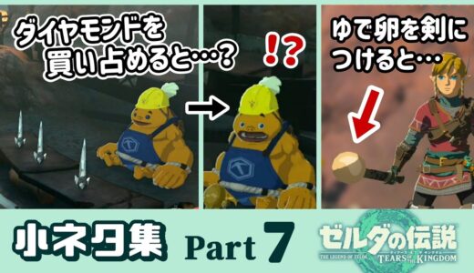 【ティアキン】最高級のダイヤモンドを買い占めると隠しセリフが…！？ゲームに隠れた細かすぎる小ネタ集７【ゼルダの伝説 ティアーズ オブ ザ キングダム】@レウンGameTV