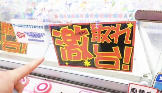 【クレーンゲーム】激取れ台は本当にとれるのか？しらべてみたら...claw machine