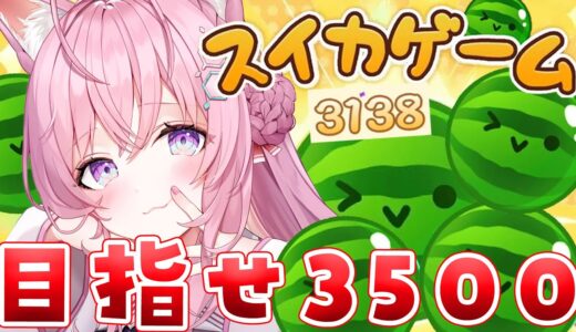 【スイカゲーム】目指せ3500！！！🔥ホロライブの頭脳を見せつけろ！！！【博衣こより/ホロライブ】