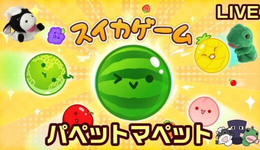 スイカゲーム！パペットマペット生放送🐮🐸🍉