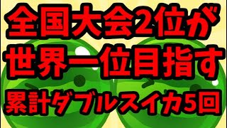 【世界ランカー7646点】全国大会2位が世界一位を目指す【スイカゲーム】