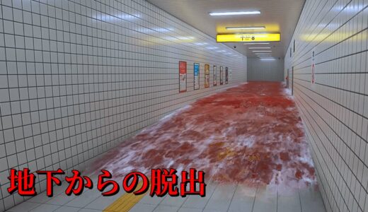 駅の地下から脱出するホラーゲームがリアルすぎてヤバい - ゆっくり実況 【8番出口】