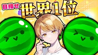 今日が最後の配信です。【スイカゲーム】