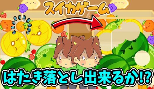 はたき落としでダブルスイカ達成！？【スイカゲーム#13】ゆっくり実況プレイ