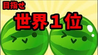 祝！！！ダブルスイカ達成！！！【スイカゲーム】