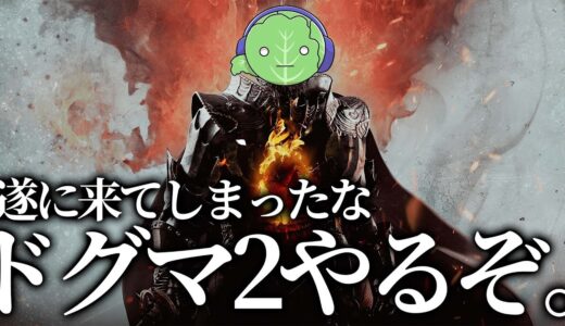 遂にドラゴンズドグマ２やる